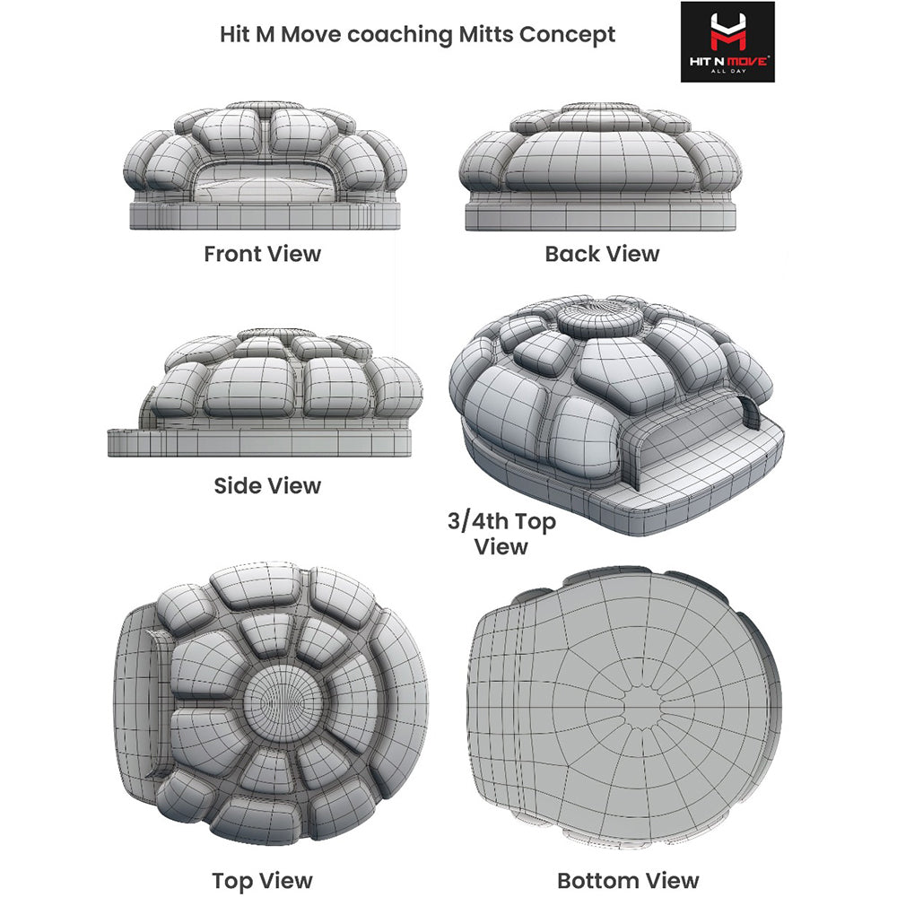 Hit N Move Turtle Focus Mitts