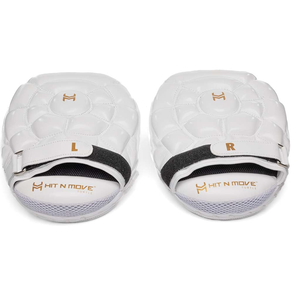 Hit N Move Turtle Focus Mitts