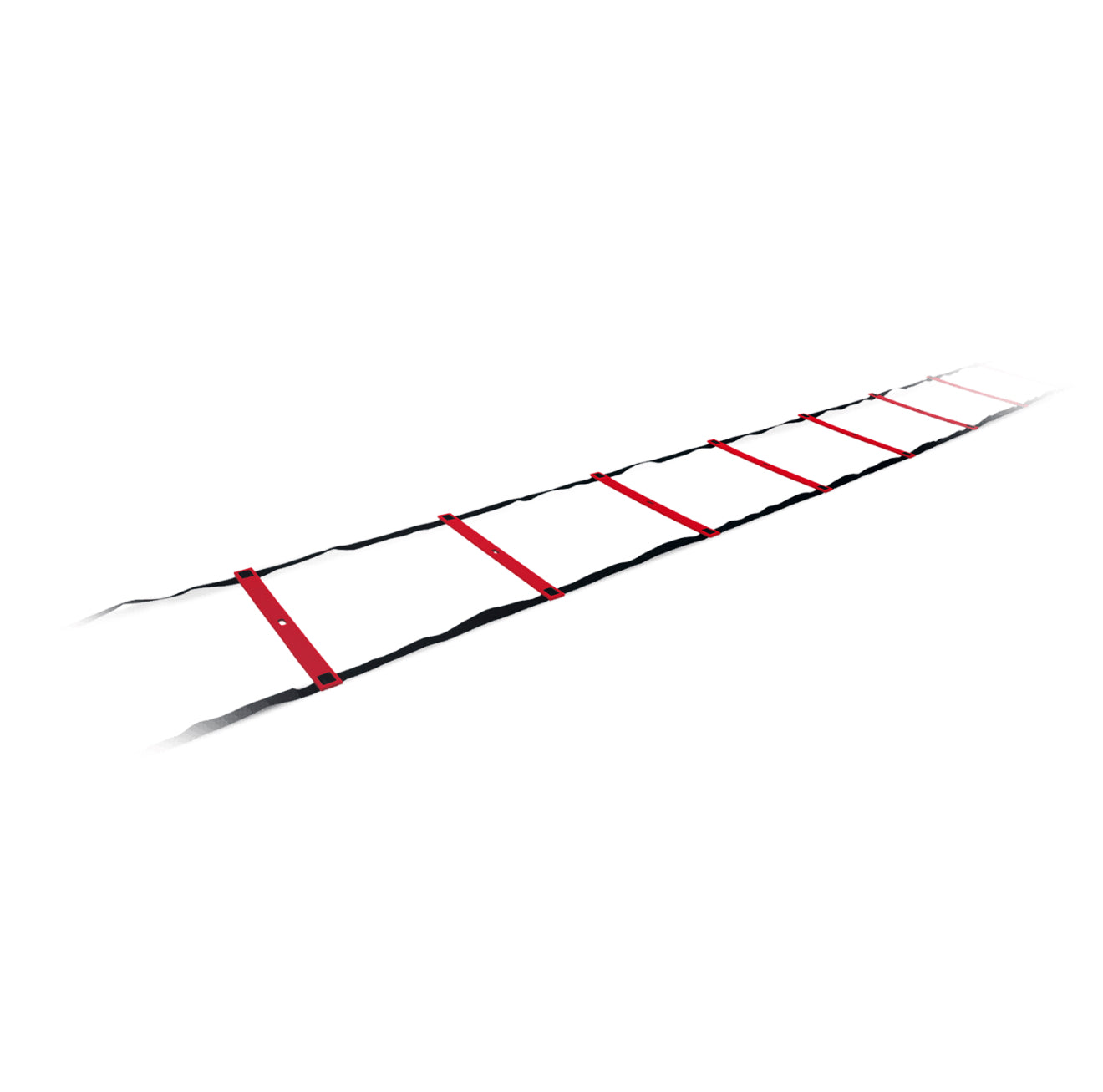 UFC Speed Ladder