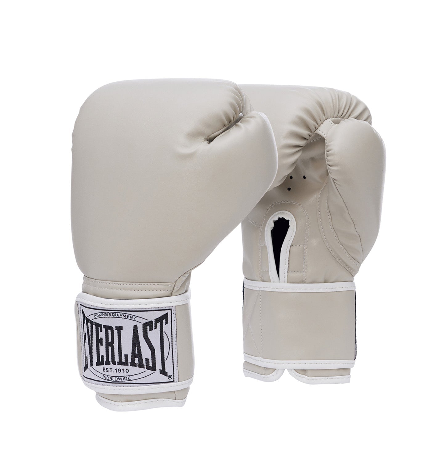 EVERLAST - 1910 MITT KIT 10OZ