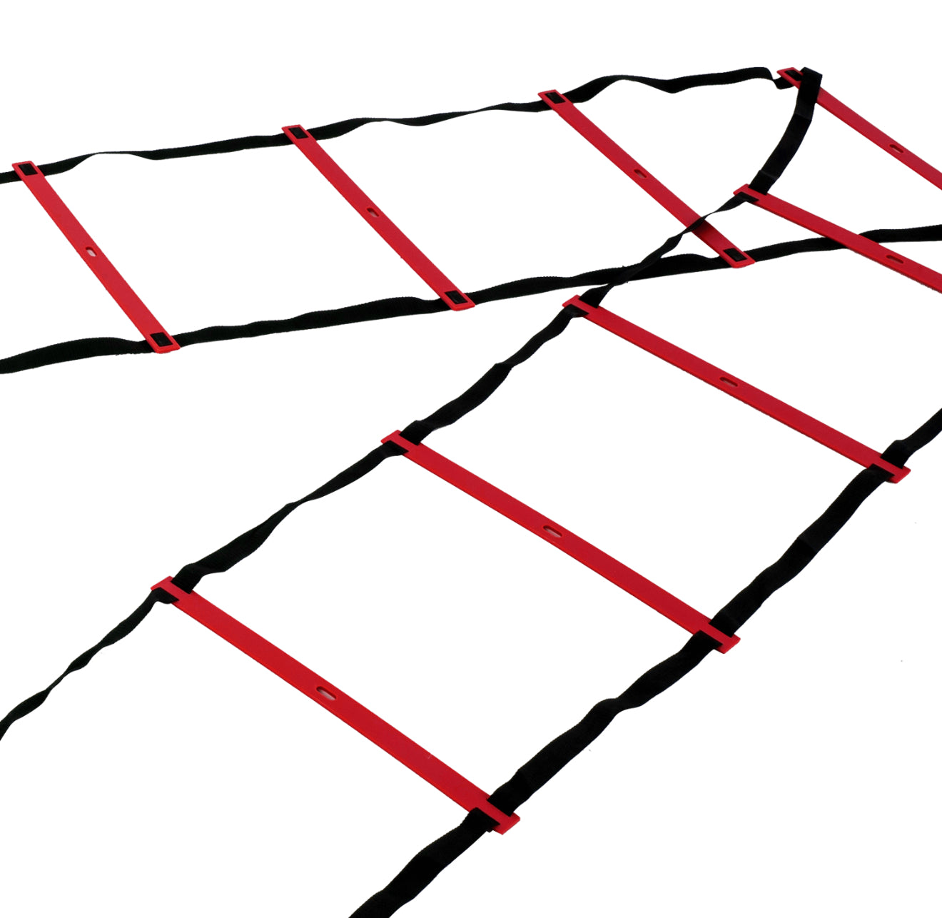 UFC Speed Ladder
