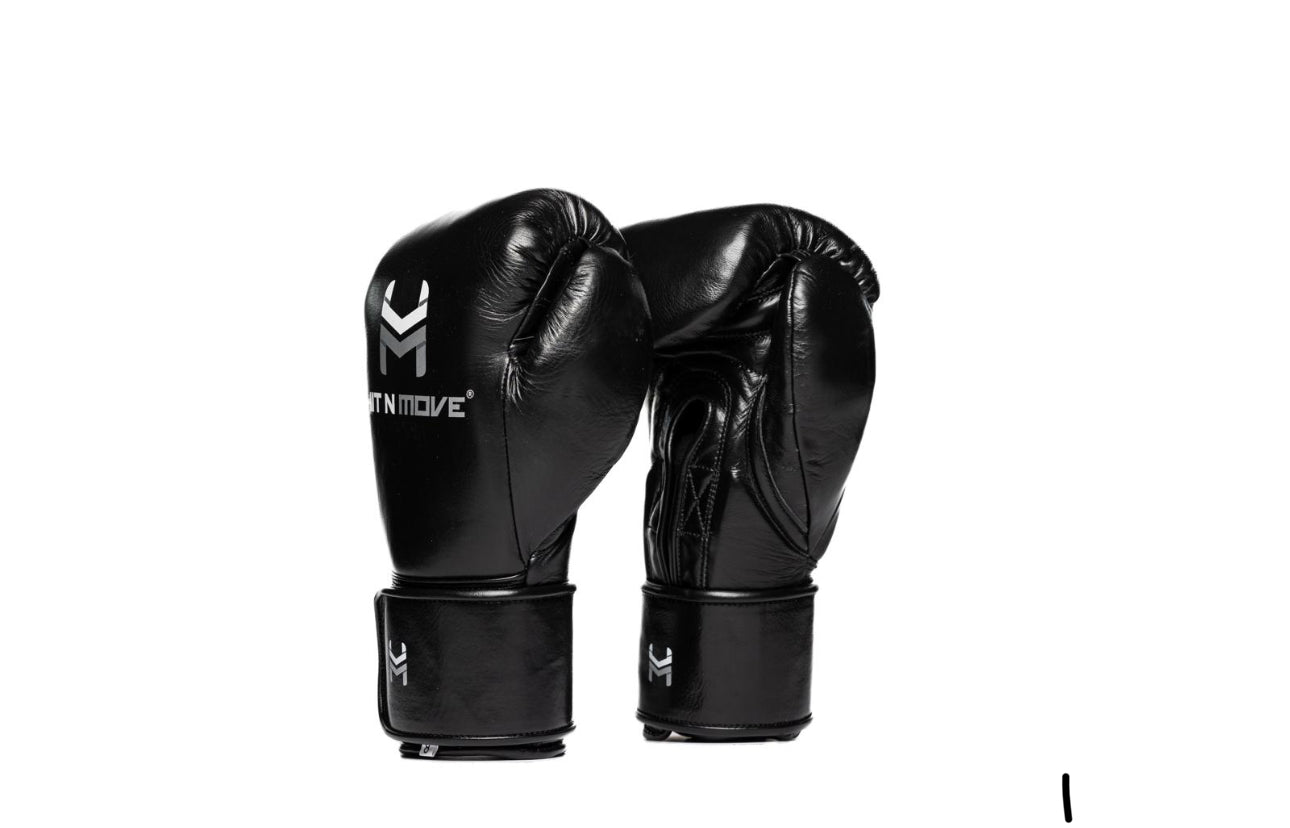 Hit N Move Horse Hair Boxing Gloves (Hook and Loop)